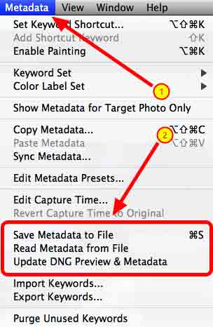 manually_write_metadata_to_images